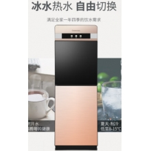 長虹飲水機立式雙開門推杯升級飲水機溫?zé)峥頒YS-E09